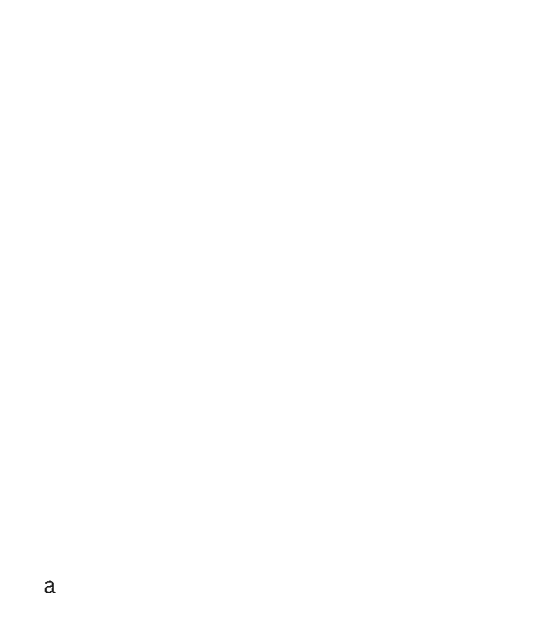 How did we end up here