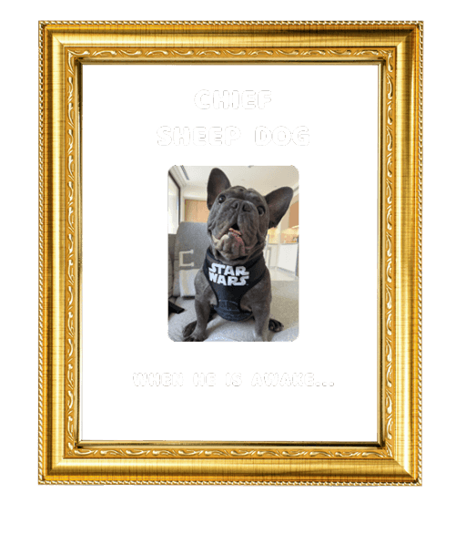 Other members of the flock